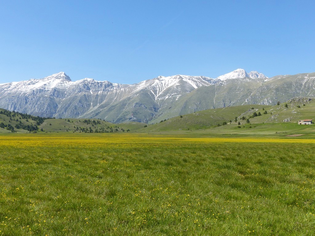 Il Gran Sasso e le orchidee - il mio omaggio al Gigante dellAppennino.